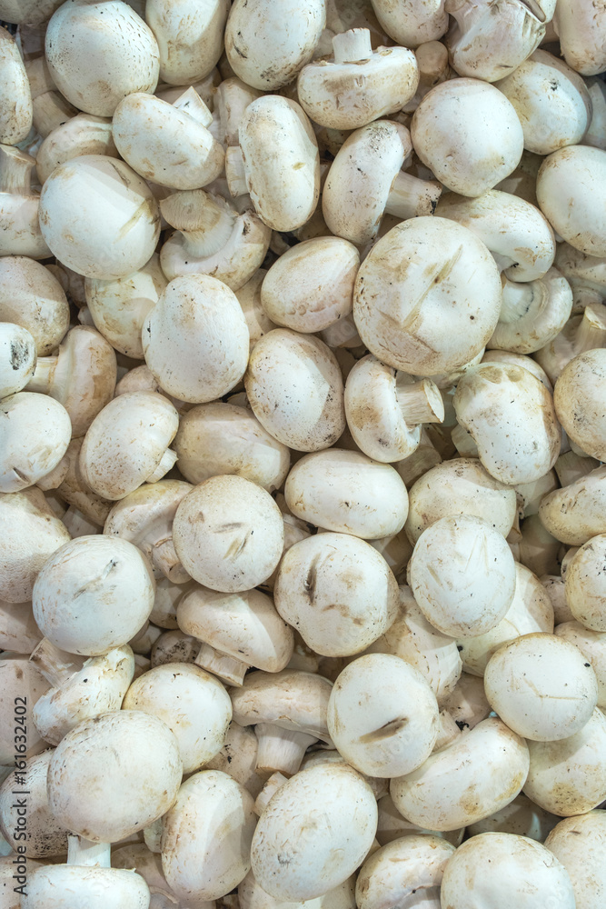 Organic champignon mushroom on farmers market Organic champignon mushroom on farmers market