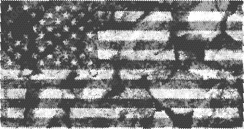 The flag of the United States monochrome black and white image with a halftone effect. Vector illustration