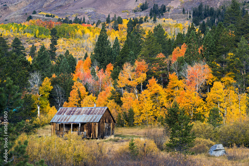 A small old cabin is surrounded by beautiful fall foliage in autumn in Hope Valley, California. photo