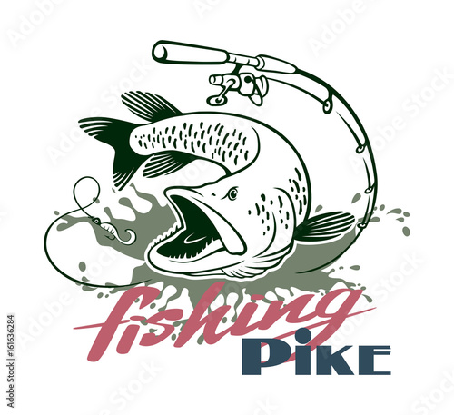 fish pike