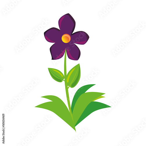 beautiful flower icon over white background colorful design vector illustration