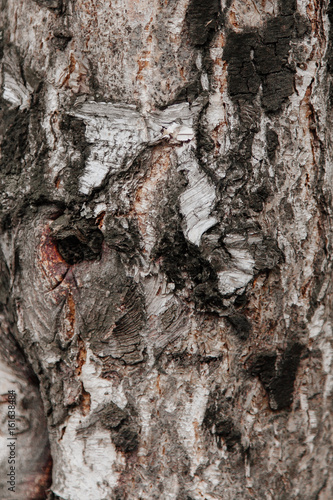 Wood textures