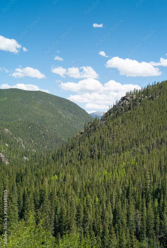 Guanella Pass Colorado