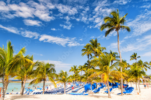 Green palms on white sand beach © be free