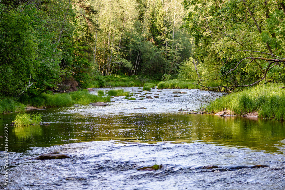 beautyful morning light over forest river beautyful morning light over forest river