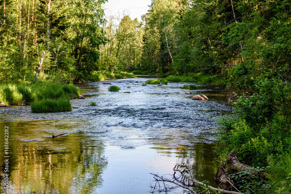 beautyful morning light over forest river beautyful morning light over forest river