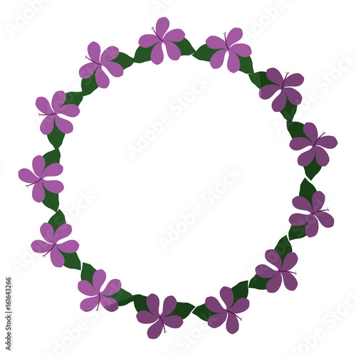 decorative frame of beautiful flowers in circle shape icon over white background colorful design vector illustration