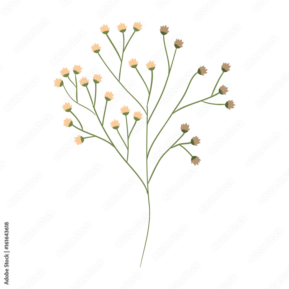 stem with beautiful flower icon over white background vector illustration