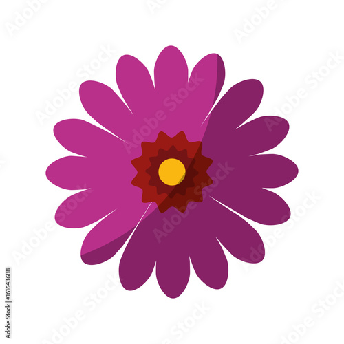 beautiful flower icon over white background colorful design vector illustration