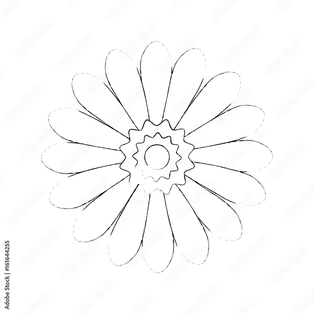 beautiful flower icon over white background vector illustration beautiful flower icon over white background vector illustration