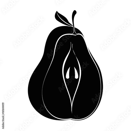 pear fruit icon over white background vector illustration
