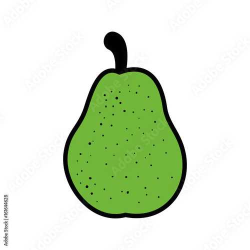 pear fruit icon over white background vector illustration