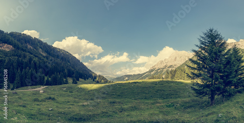 Panorama of meadow surrouned by forest.