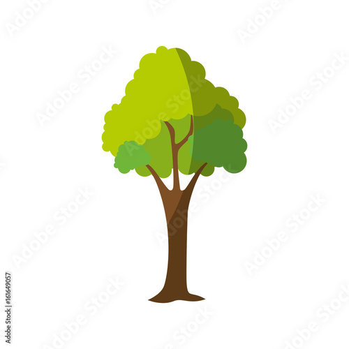 nature tree symbol icon vector graphic illustration