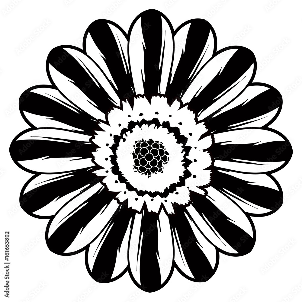 Isolated flower silhouette Isolated flower silhouette