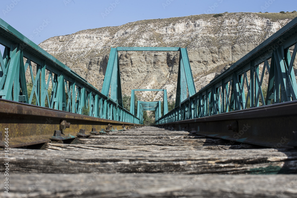 Fototapeta premium Puente Verde de Arganda