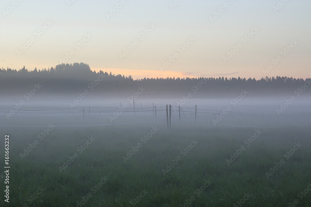 A fence on a field of grass in the fog