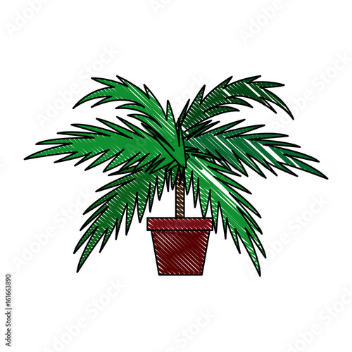 potted palm tree plant natural decoration interior vector illustration