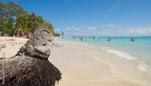 Tropical beach of Sainte Anne - Caribbean Sea - Guadeloupe tropical island