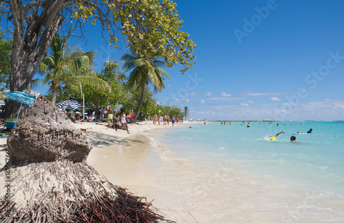 Tropical beach of Sainte Anne - Caribbean Sea - Guadeloupe tropical island