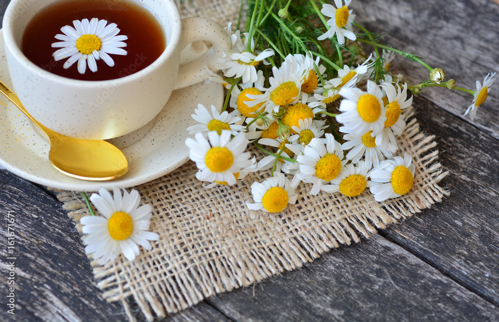 cup of herbal chamomile tea with camomile dry blossoms, dried camomile flowers. doctor treatment and prevention of immune concept, medicine - folk, alternative, complementary, traditional medicine cup of herbal chamomile tea with camomile dry blossoms, dried camomile flowers. doctor treatment and prevention of immune concept, medicine - folk, alternative, complementary, traditional medicine