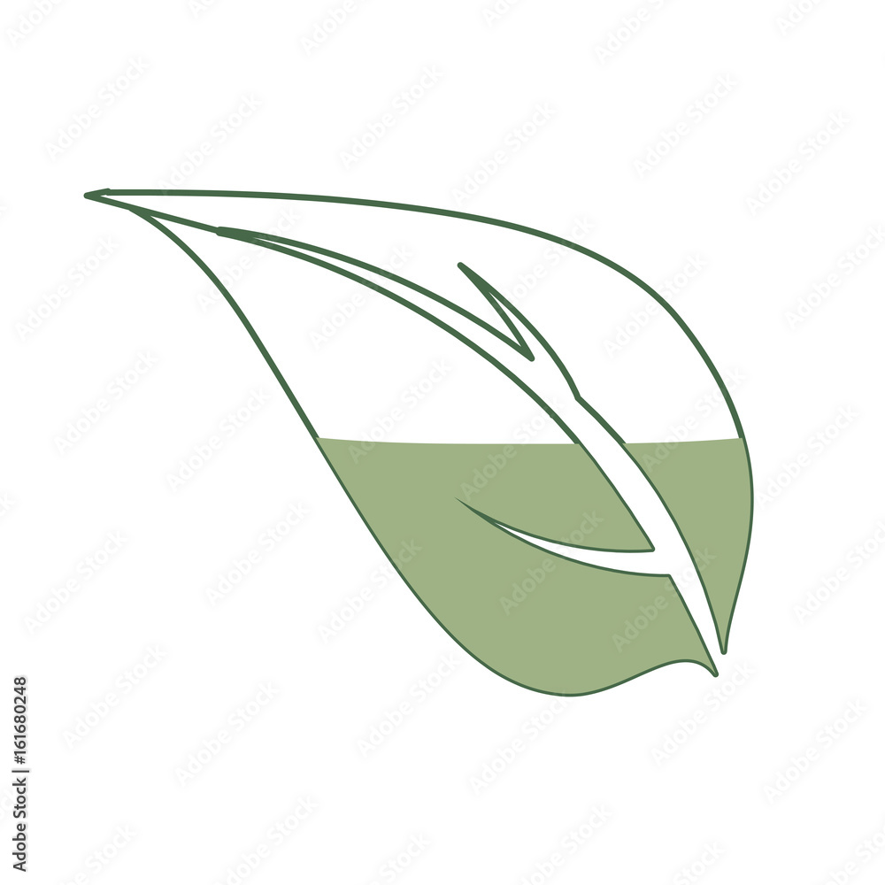 Leaf ecology symbol icon vector illustration graphic design