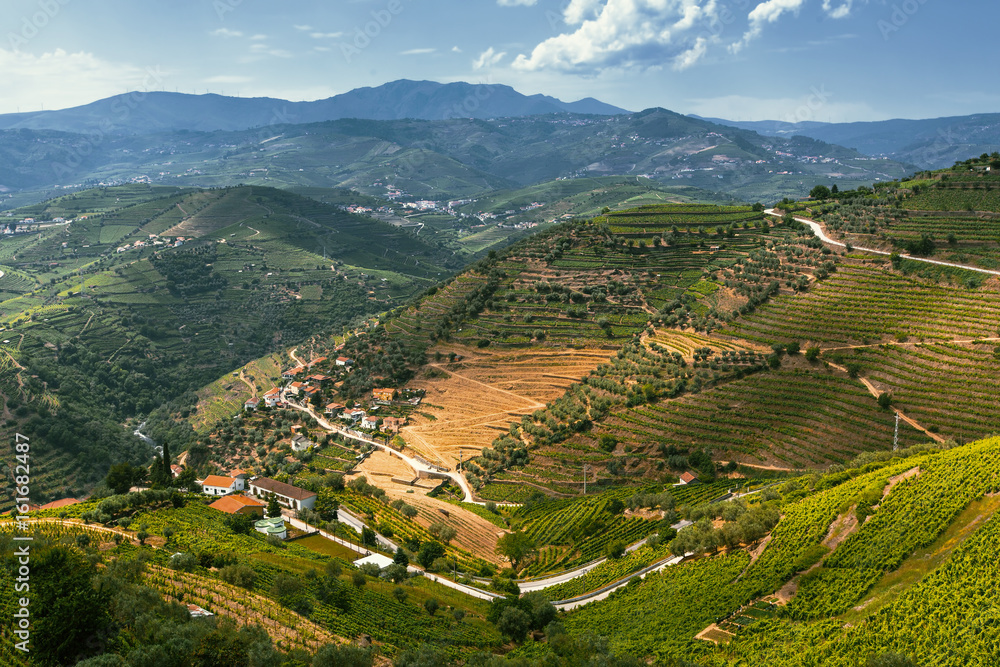 Portugal. Top view of Douro Valley, vineyards are on a hills..