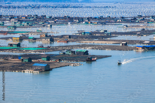 Seafood fish farming,Fishery on sea, Fujiang, China. photo