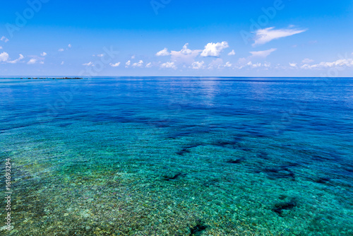 Sea  reef  landscape. Okinawa  Japan  Asia.