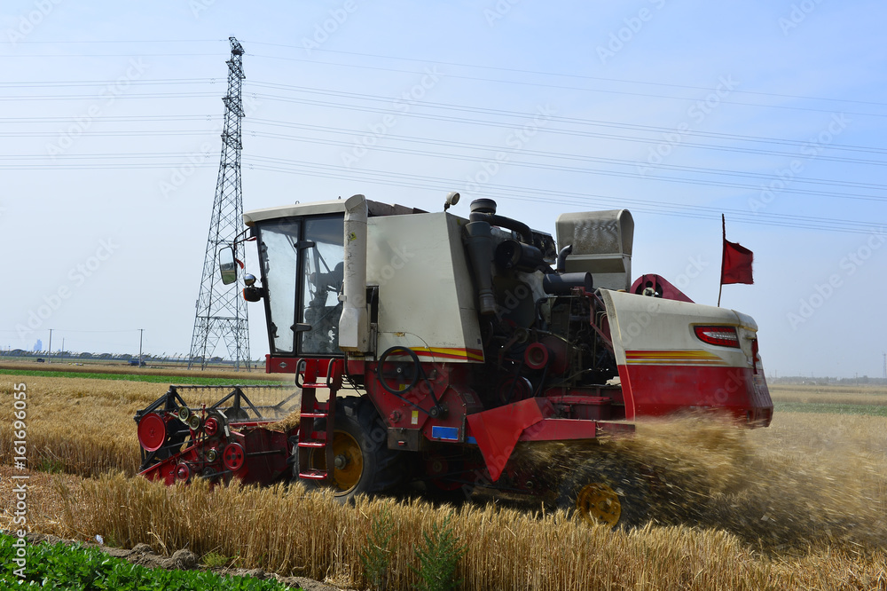 Fototapeta premium Harvester in wheat