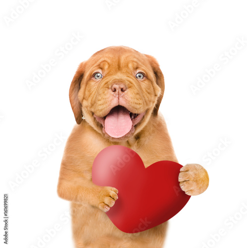 Puppy with red heart. isolated on white background