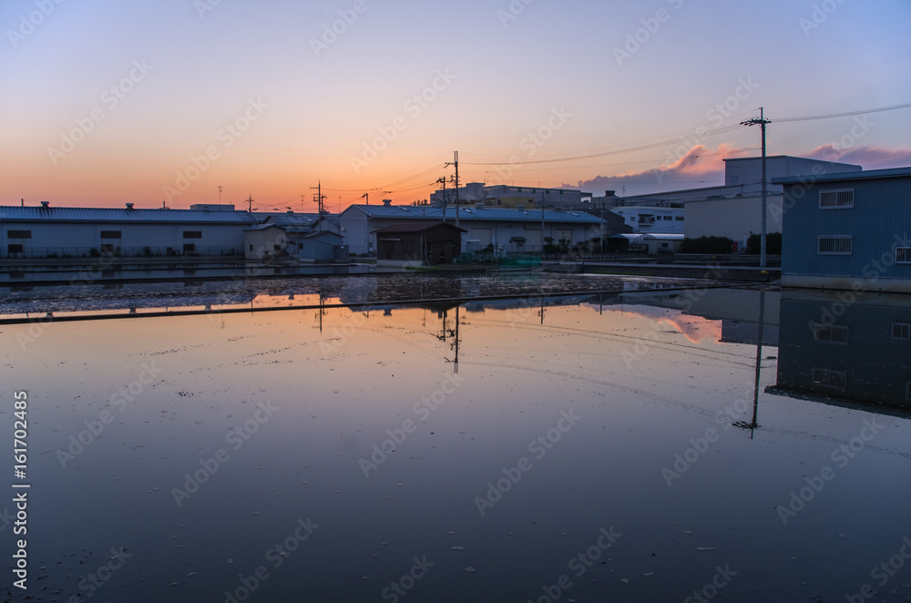 日本の風景・夕焼けを映す水田