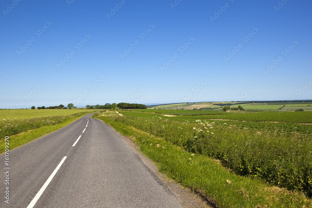 highway and scenery