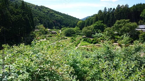 自然の中の植物園