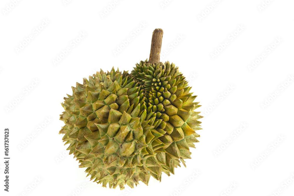 Fresh durian on white background, Durian mon thong is king of fruits. Fresh durian on white background, Durian mon thong is king of fruits.