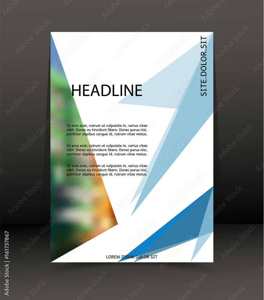 Fototapeta premium Abstract background for brochure, cover. Template for the poster. Vector.