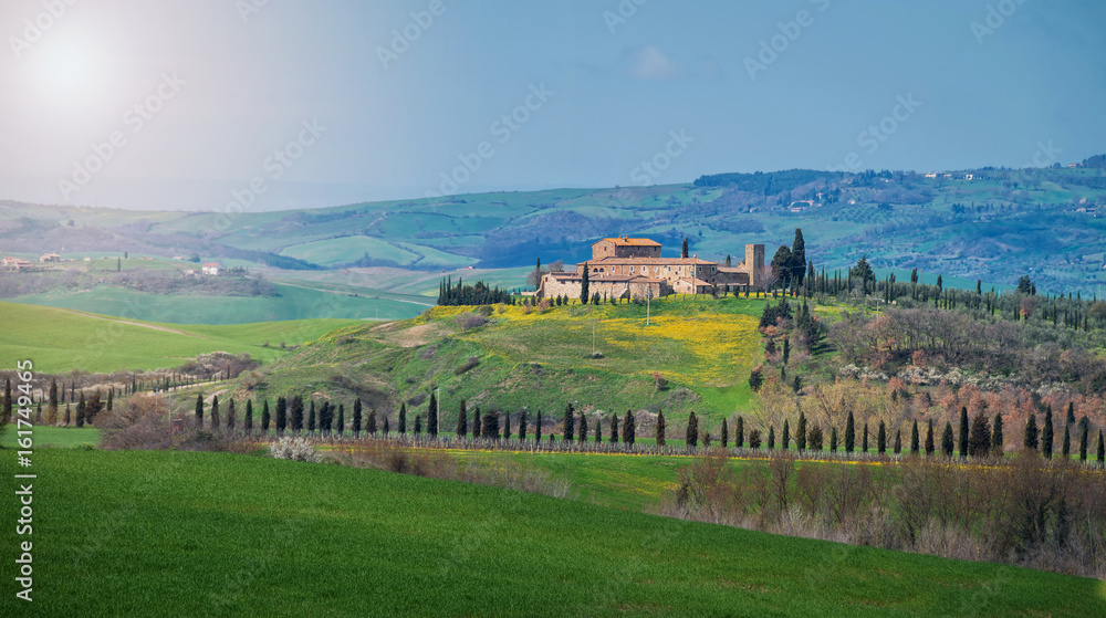 Tuscany and green field in summer season.