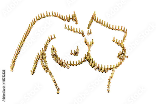 naked female bust drawing with yellow avarage galvanized screws isolated on white background