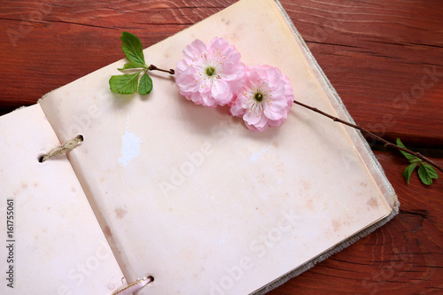 Pink flowers displayed on a blank page of an open book 