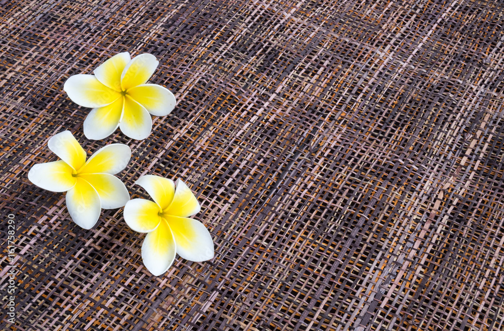 Fresh flowers of white plumeria (frangipani) on colored textured straw background with space for text. Fresh flowers of white plumeria (frangipani) on colored textured straw background with space for text.
