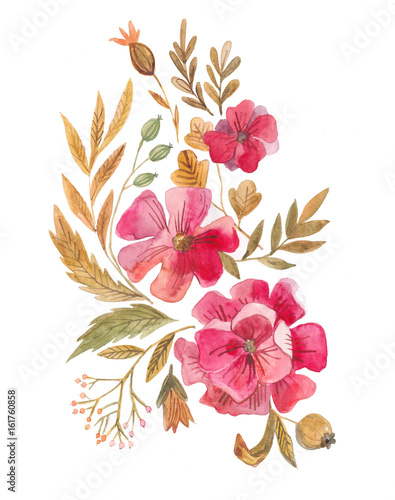 ботаническая иллюстрация, акварельные цветы и растения