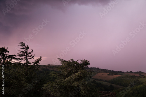 Violet sky on a stormy day, natural scene with pine trees in the foreground