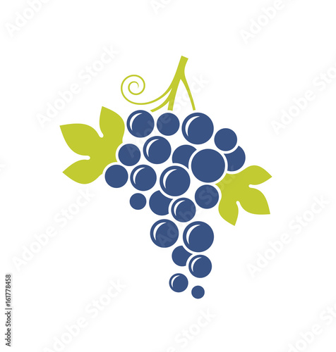 Blue grape