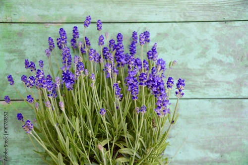 Fototapeta Naklejka Na Ścianę i Meble -  Grußkarte - Lavendel 