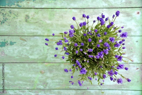 Grußkarte - Lavendel