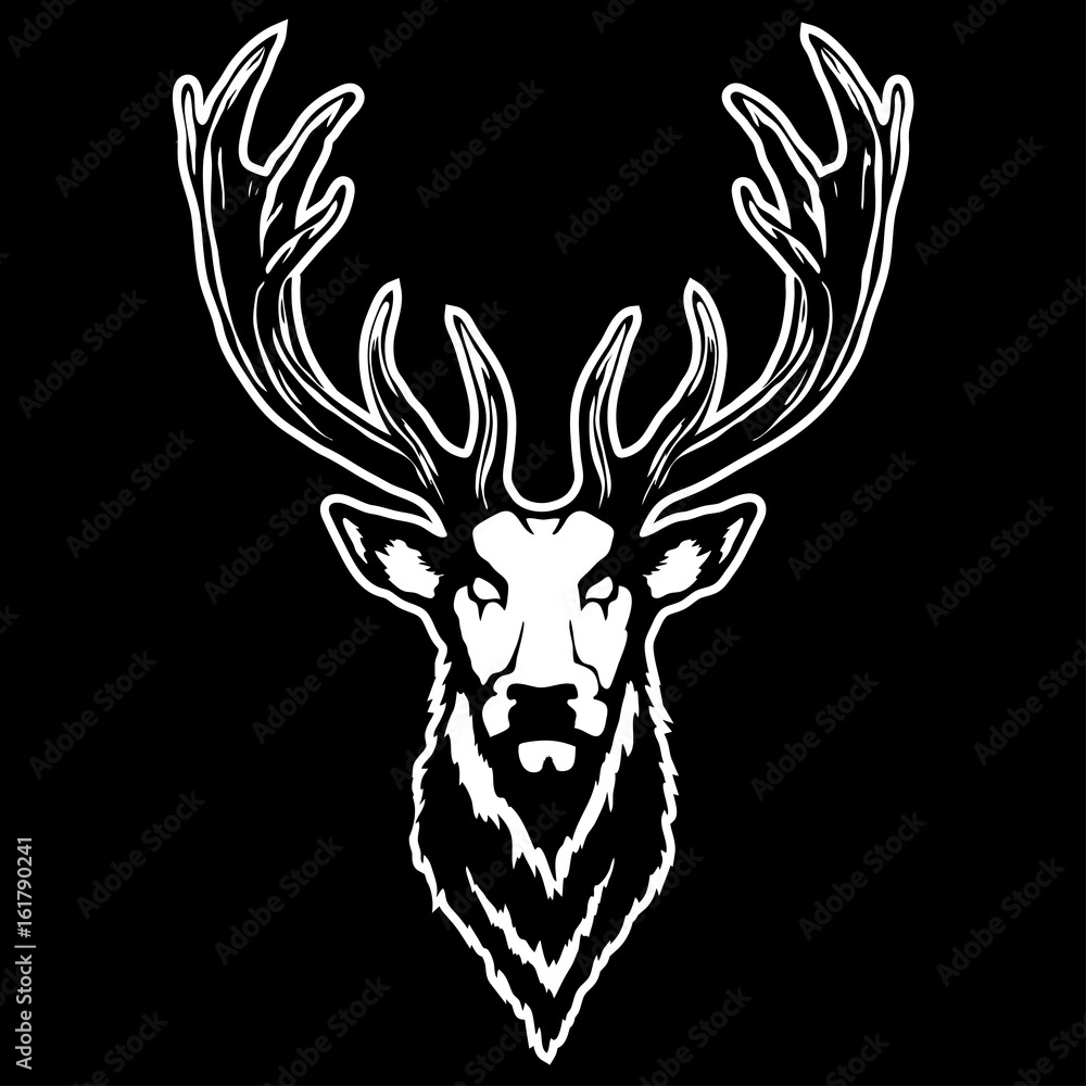 Vector illustration of a deer head Vector illustration of a deer head