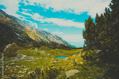 Fototapeta Naklejka Na Ścianę i Meble -  Beautiful view on the high green mountains peaks, on the blue sky background. Mountain hiking paradise landscape, no people.