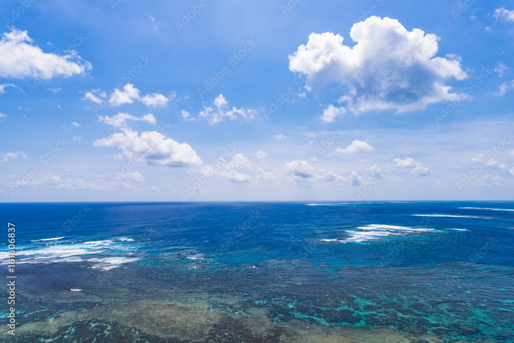 Sea, reef. Okinawa, Japan, Asia. Sea, reef. Okinawa, Japan, Asia.