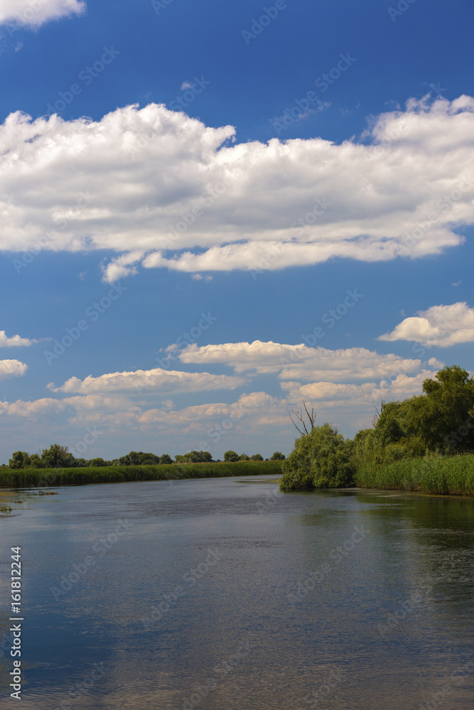 Landscape with water and vegetation in the Danube Delta, Romania