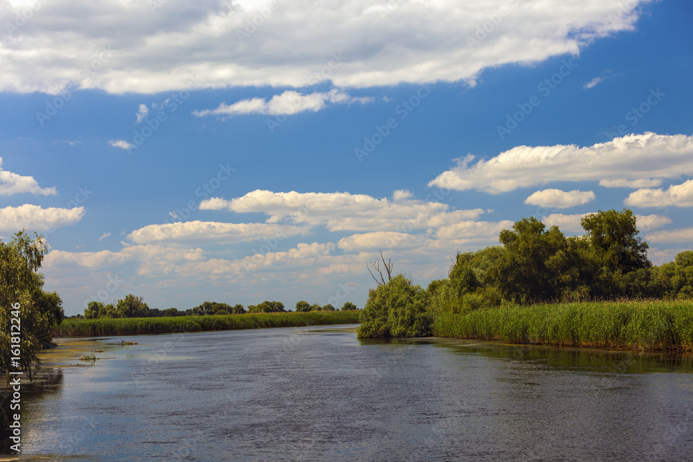 Landscape with water and vegetation in the Danube Delta, Romania Landscape with water and vegetation in the Danube Delta, Romania
